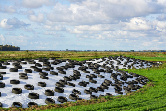 Large Pile Of Silage On Field Covered With Plastic Film And Used Tires