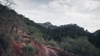 Differents landscapes in the mountains of Castellón (Valencia, Spain),  with a moody styles, and wonderful autumnal colours.
