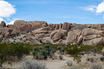 Rock formations in Joshua Tree