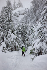 hiking in the snow mountain