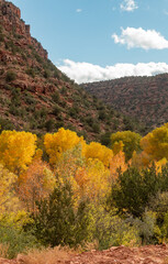 Scenic Verde River Canyon Arizona Landscape in Autumn