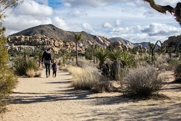 Rock formations in Joshua Tree