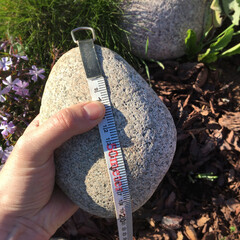 Round stone decorative rock for landscape design in hand with roulette measuring tape