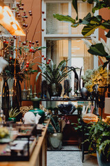 Cabinet de curiosités