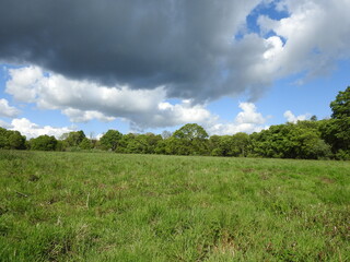 Open green terrain, trees and light and dark clouds