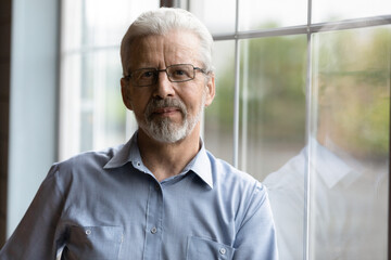 Head shot portrait mature grey haired man wearing glasses standing near window, senior grandfather...
