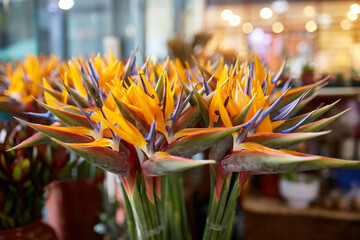 Colorful fruits at the Funchal mercado in Madeira