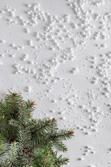 Evergreen trees branch with snow and snowballs in corner. Horizontal composition, flat lay, top view. Snow forest creative minimal layout with white background