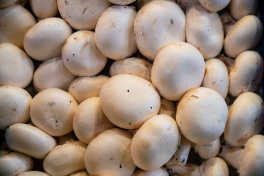 Mushrooms in Mercado at La Boqueria Market