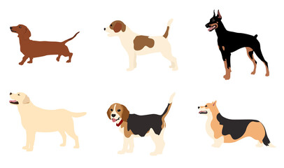 Vector image. The picture shows how the poses of dogs with the profile of different breeds, such as Labrador, Doberman, Corgi, Beagle, Jack Russell, are drawn by hand. Suitable for coloring book.