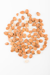 apricot kernel isolated on white background