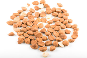 apricot kernel isolated on white background