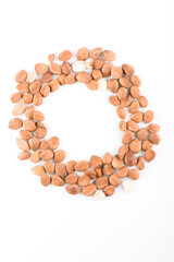 apricot kernel isolated on white background