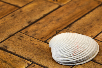 Fototapeta na wymiar Close up of seashell on wood