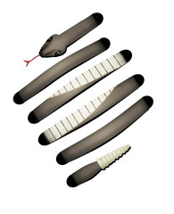 A snake looks like lines on a page in this interesting look at serpents.