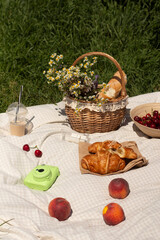 Picnic outside on a sunny day. Picnic basket 