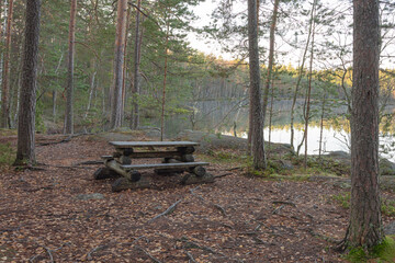 Resting place for tourists, a bench in the forest.