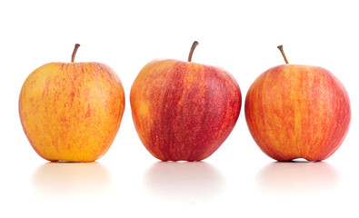 Three red and yellow apples lined up