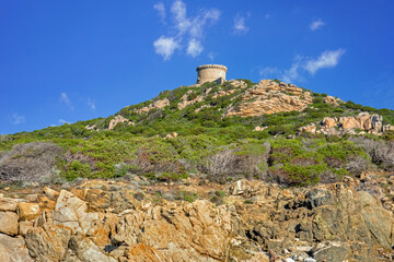 Corse, tour de Campomoro