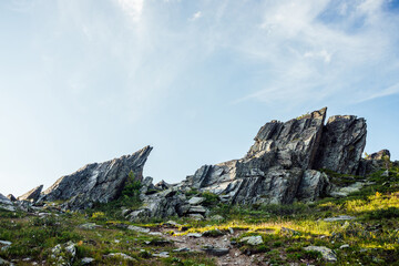 Sunny highland scenery with sharpened stones of unusual shape. Awesome scenic mountain landscape with big cracked pointed stones closeup among grass under blue sky in sunlight. Sharp rocks with cracks