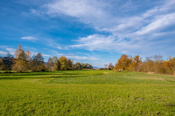 autumn landscape with trees and sky
