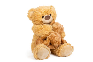 Teddy bear with little bear on white background.