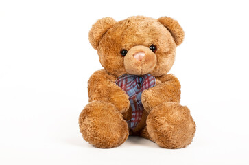 Teddy bear seated on white background.