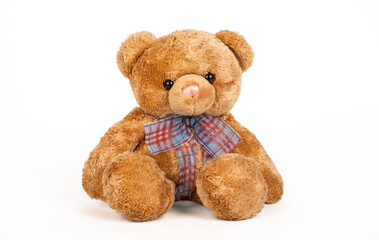 Teddy bear seated on white background.