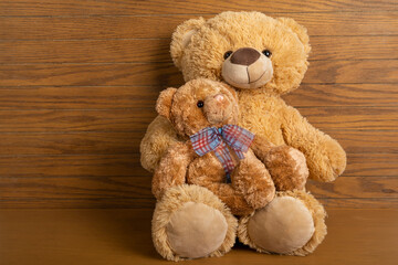 Teddy bear with little bear indoors.