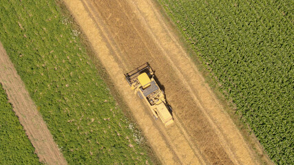 Fototapety na wymiar - Fototapeta24.pl