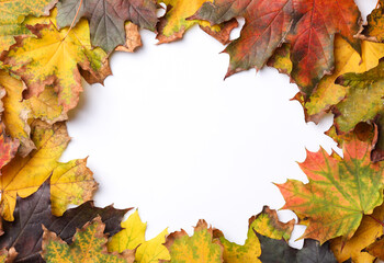 Naklejka na ściany i meble Frame made of autumn leaves on white background, top view. Space for text
