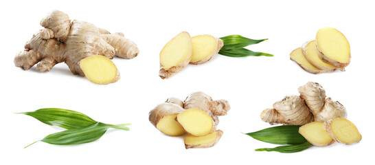Set of fresh aromatic ginger with green leaves on white background. Banner design