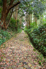 旧東海道金谷坂石畳