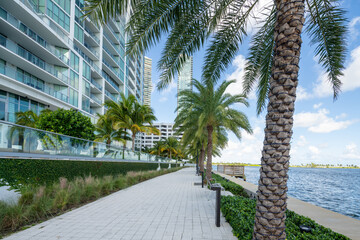 Fototapeta na wymiar Walkway with palm trees by Biscayne Bay Miami FL