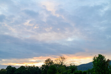 Sky with clouds during sunset in the evening above the trees, Nature background