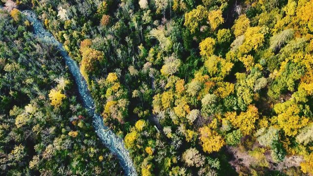Bunter Herbstwald von oben mit Bach, Natur