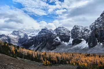 Yellow trees in Larch Valley in Canadian Rocky Mountains. Autumn in Banff National Park. Alberta. Canada 