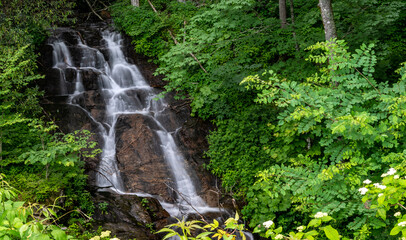 Obraz premium Refreshing Woodfin Cascade Along the Blue Ridge Parkway