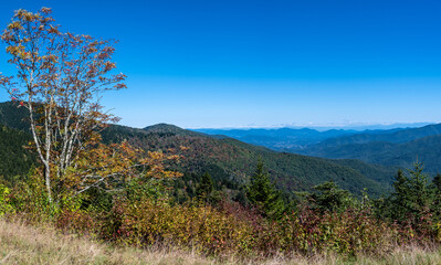 Obraz premium Autumn in the Appalachian Mountains Viewed Along the Blue Ridge Parkway