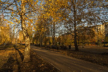 autumn in the park