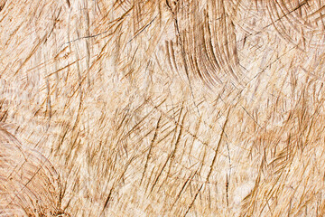 Wood carving texture. Wooden sculpture closeup. Scratched plank background. Cracked wood pattern.