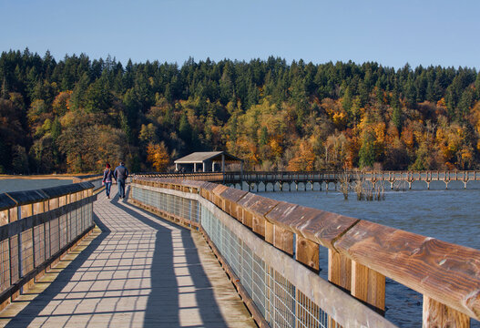 A couple walks along a beautiful boardwalk at Billy Frank Jr. Nisqually National Wildlife Refuge in autumn in Olympia, WA
