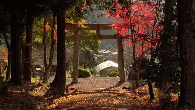 神社の参道
