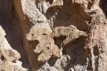 Rock Shape of T-Rex Eating a Bear