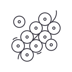 Thai pepper icon, linear isolated illustration, thin line vector, web design sign, outline concept symbol with editable stroke on white background.