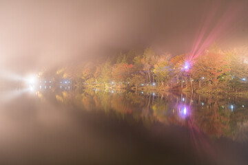 Fototapeta premium 霧がかかるライトアップされた紅葉