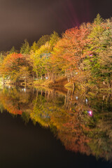 湖に反射した日本のライトアップした紅葉