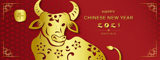 Golden ox with happy Chinese new year 2021text on red banner background, Chinese text means ox