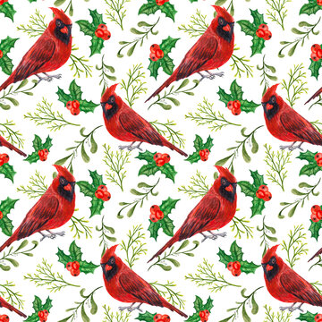 Seamless christmas pattern red cardinal with holly and cerebus lights. New Year's illustration of a bird on a white background.