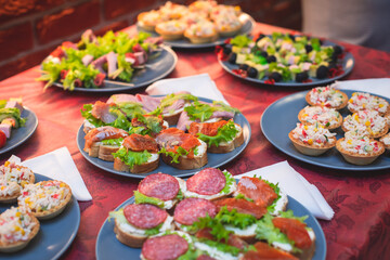 Beautifully decorated catering banquet table with different homemade food snacks and appetizers on corporate birthday party event or wedding celebration, different vegan vegetarian snacks